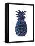 Black Purple Pineapple-Amanda Greenwood-Framed Stretched Canvas