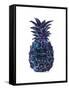 Black Purple Pineapple-Amanda Greenwood-Framed Stretched Canvas