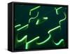 Black Puzzle with Green Light Shining Through the Cracks-null-Framed Stretched Canvas