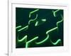 Black Puzzle with Green Light Shining Through the Cracks-null-Framed Photographic Print