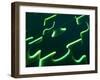 Black Puzzle with Green Light Shining Through the Cracks-null-Framed Photographic Print