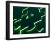 Black Puzzle with Green Light Shining Through the Cracks-null-Framed Photographic Print