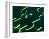 Black Puzzle with Green Light Shining Through the Cracks-null-Framed Photographic Print