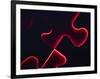 Black Puzzle with Red Light Shining Through the Cracks-null-Framed Photographic Print