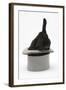 Black Rabbit with Windmill Ears in a Grey Top Hat-Mark Taylor-Framed Premium Photographic Print