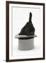 Black Rabbit with Windmill Ears in a Grey Top Hat-Mark Taylor-Framed Photographic Print