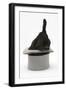 Black Rabbit with Windmill Ears in a Grey Top Hat-Mark Taylor-Framed Photographic Print