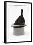 Black Rabbit with Windmill Ears in a Grey Top Hat-Mark Taylor-Framed Photographic Print