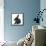 Black Rabbit with Windmill Ears-Mark Taylor-Framed Stretched Canvas displayed on a wall