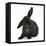 Black Rabbit with Windmill Ears-Mark Taylor-Framed Stretched Canvas