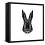 Black Rabbit-Lisa Kroll-Framed Stretched Canvas