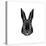 Black Rabbit-Lisa Kroll-Stretched Canvas