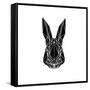 Black Rabbit-Lisa Kroll-Framed Stretched Canvas