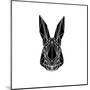 Black Rabbit-Lisa Kroll-Mounted Art Print