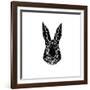 Black Rabbit-Lisa Kroll-Framed Art Print