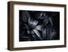 Black Rain-Philippe Sainte-Laudy-Framed Photographic Print