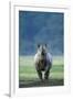 Black Rhino (Diceros Bicornis) Looking Threatening, Nakuru National Park, Kenya-Denis-Huot-Framed Photographic Print