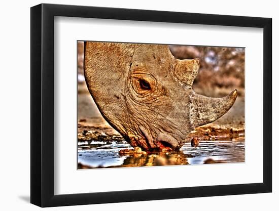 Black Rhino drinking, 2018-Eric Meyer-Framed Photographic Print