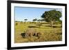 Black Rhino, Sabi Sabi Reserve, South Africa-Paul Souders-Framed Photographic Print