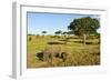 Black Rhino, Sabi Sabi Reserve, South Africa-Paul Souders-Framed Photographic Print