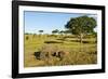 Black Rhino, Sabi Sabi Reserve, South Africa-Paul Souders-Framed Photographic Print