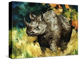 Black Rhino-Sydney Edmunds-Stretched Canvas