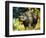 Black Rhino-Sydney Edmunds-Framed Giclee Print