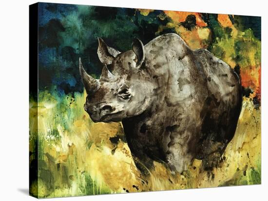 Black Rhino-Sydney Edmunds-Stretched Canvas