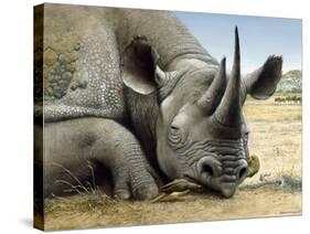 Black Rhino-Harro Maass-Stretched Canvas