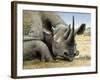 Black Rhino-Harro Maass-Framed Giclee Print