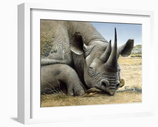 Black Rhino-Harro Maass-Framed Giclee Print