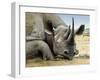 Black Rhino-Harro Maass-Framed Giclee Print