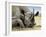 Black Rhino-Harro Maass-Framed Giclee Print