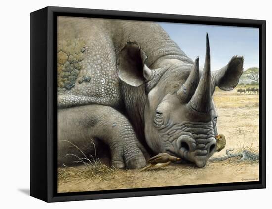 Black Rhino-Harro Maass-Framed Stretched Canvas