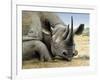 Black Rhino-Harro Maass-Framed Giclee Print