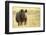 Black Rhinoceros (Diceros bicornis) adult male, charging, Etosha , Namibia-Andrew Forsyth-Framed Photographic Print