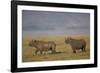 Black Rhinoceros (Hook-Lipped Rhinoceros) (Diceros Bicornis) Pair-James Hager-Framed Photographic Print