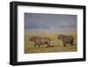 Black Rhinoceros (Hook-Lipped Rhinoceros) (Diceros Bicornis) Pair-James Hager-Framed Photographic Print