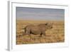 Black Rhinoceros (Hook-Lipped Rhinoceros) (Diceros Bicornis) Running-James Hager-Framed Photographic Print