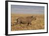 Black Rhinoceros (Hook-Lipped Rhinoceros) (Diceros Bicornis) Running-James Hager-Framed Photographic Print