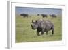 Black Rhinoceros (Hook-Lipped Rhinoceros) (Diceros Bicornis)-James Hager-Framed Photographic Print