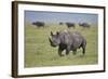 Black Rhinoceros (Hook-Lipped Rhinoceros) (Diceros Bicornis)-James Hager-Framed Photographic Print