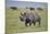 Black Rhinoceros (Hook-Lipped Rhinoceros) (Diceros Bicornis)-James Hager-Mounted Photographic Print