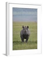 Black Rhinoceros (Hook-Lipped Rhinoceros) (Diceros Bicornis)-James Hager-Framed Photographic Print