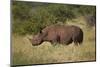 Black Rhinoceros (Hook-Lipped Rhinoceros) (Diceros Bicornis)-James Hager-Mounted Photographic Print