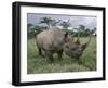 Black Rhinoceros, Kenya-Adam Jones-Framed Photographic Print