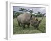 Black Rhinoceros, Kenya-Adam Jones-Framed Photographic Print