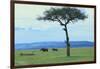 Black Rhinoceros on the Savanna-DLILLC-Framed Photographic Print