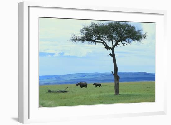 Black Rhinoceros on the Savanna-DLILLC-Framed Photographic Print