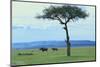 Black Rhinoceros on the Savanna-DLILLC-Mounted Photographic Print